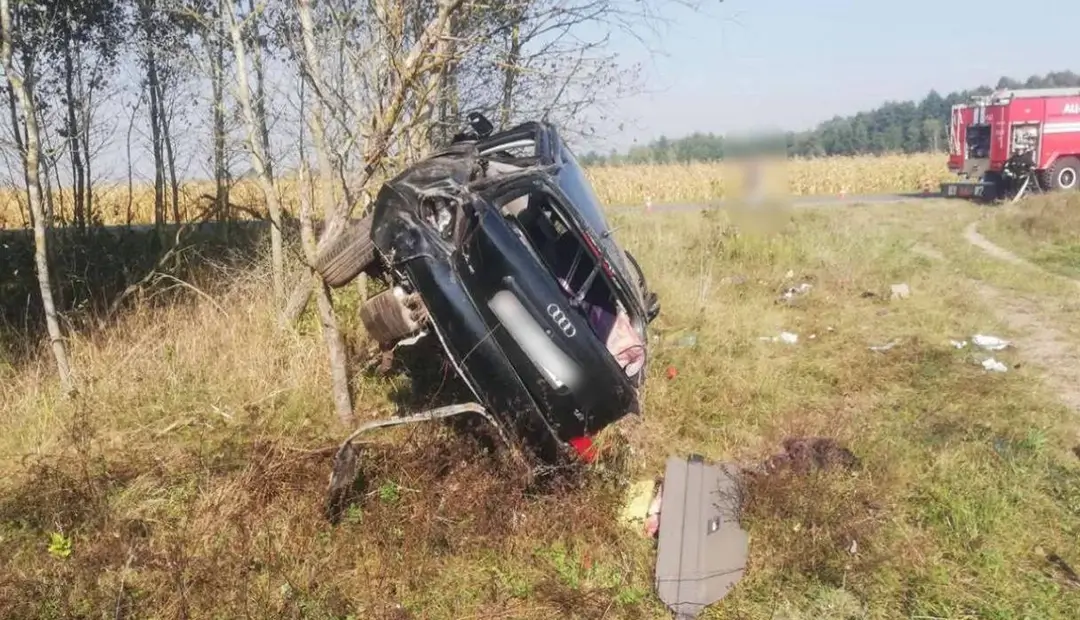 В Ляховичском районе автомобиль Audi врезался в дерево_2