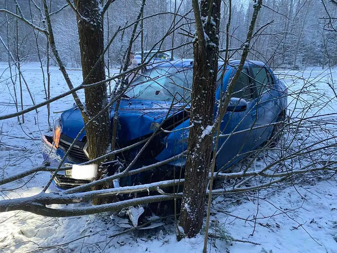 водитель Renault совершил наезд на придорожное дерево
