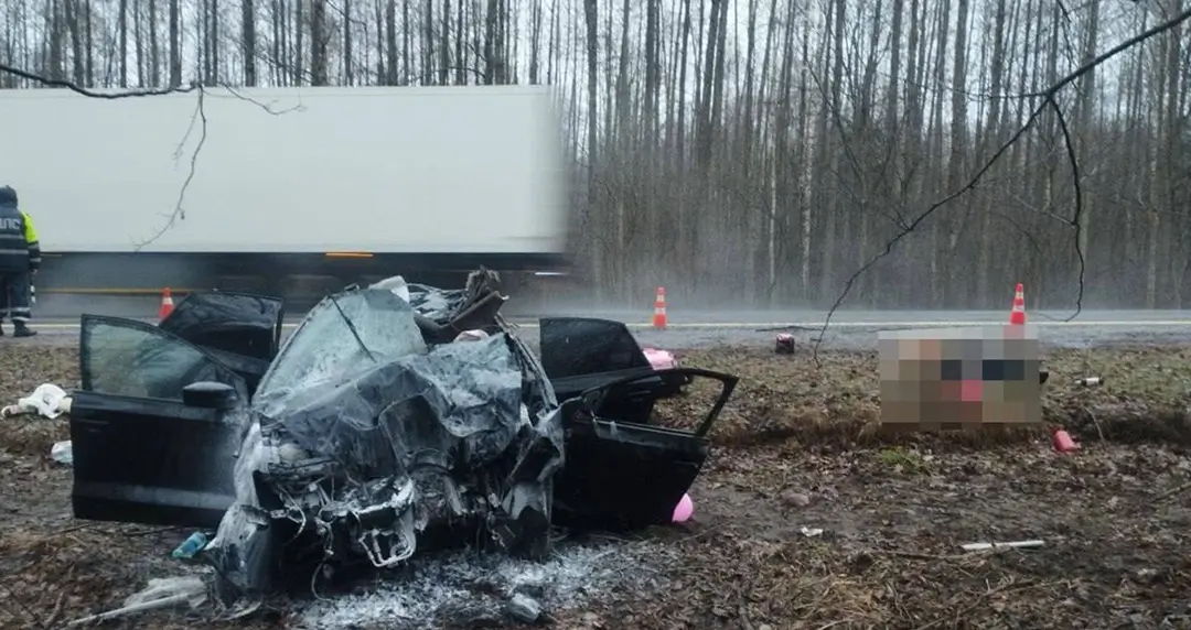 В Добрушском районе из-за ДТП с лосем погиб водитель VW ДТП с лосем на М-10