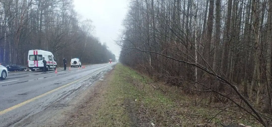В Добрушском районе из-за ДТП с лосем погиб водитель VW ДТП с лосем на М-10_2