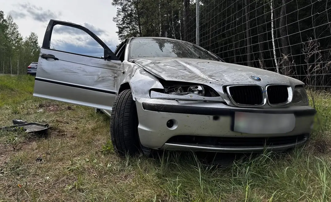 На М-6 BMW столкнулся с косулей На М-6 BMW столкнулся с косулей_1