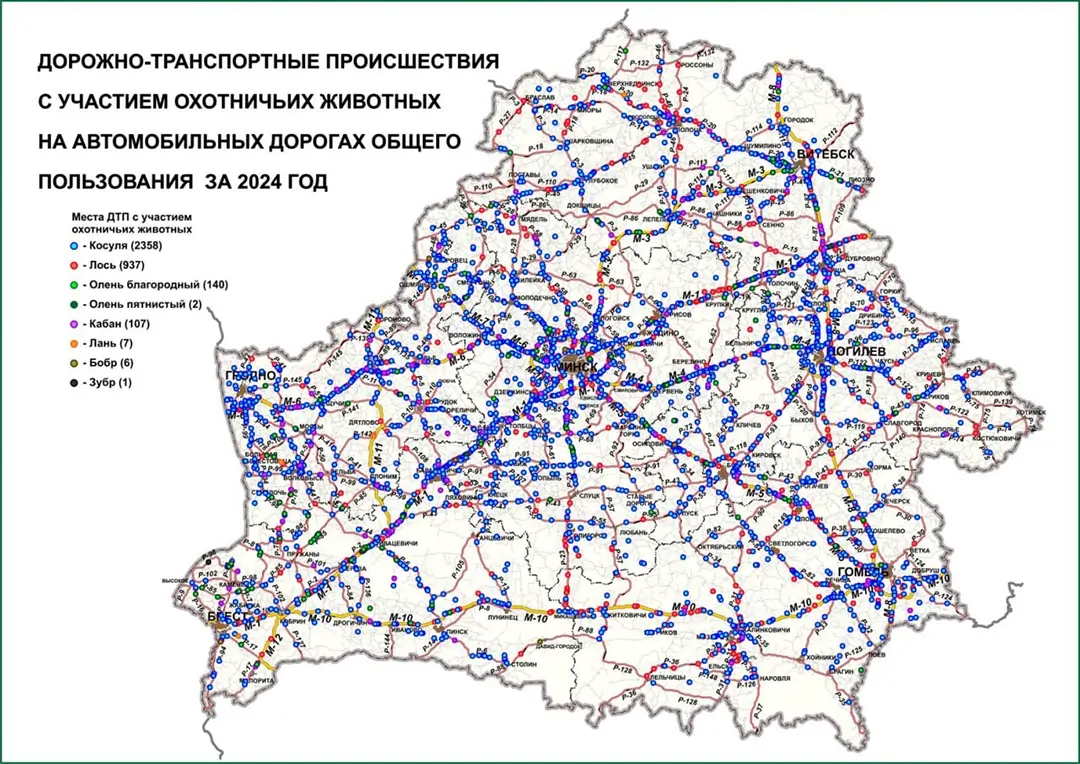 карта мест ДТП с участием охотничьих животных_1