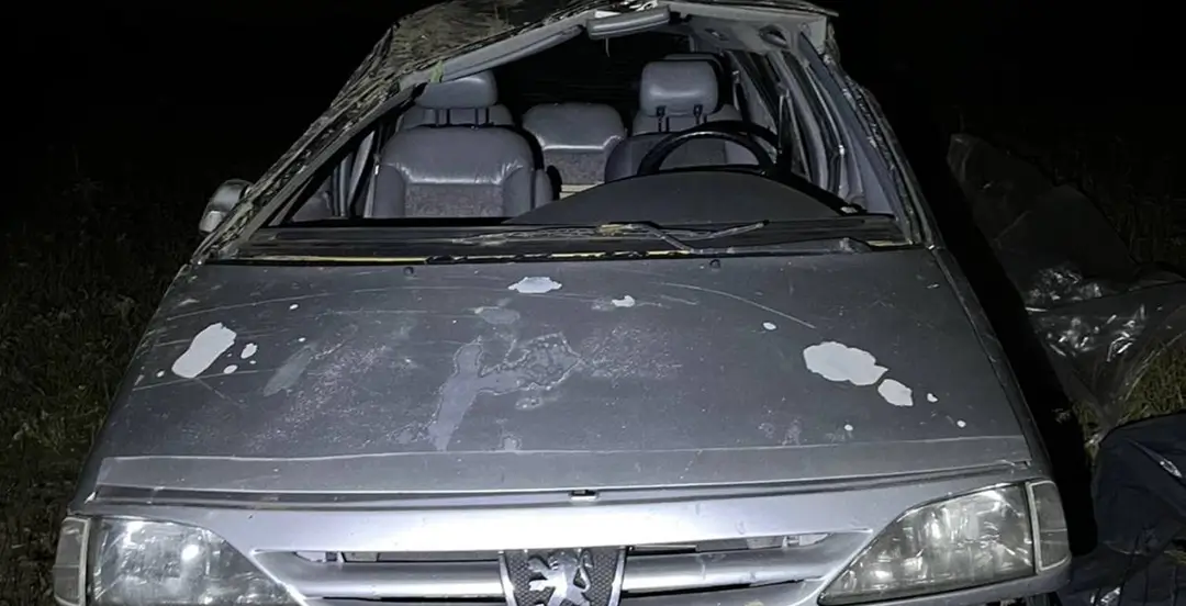 Собаки стали причиной ДТП в Узденском районе