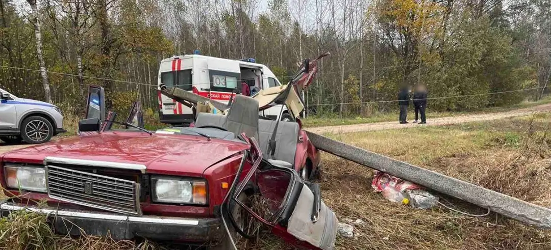 В Червенском районе водитель "ВАЗ" врезался в ЛЭП_1