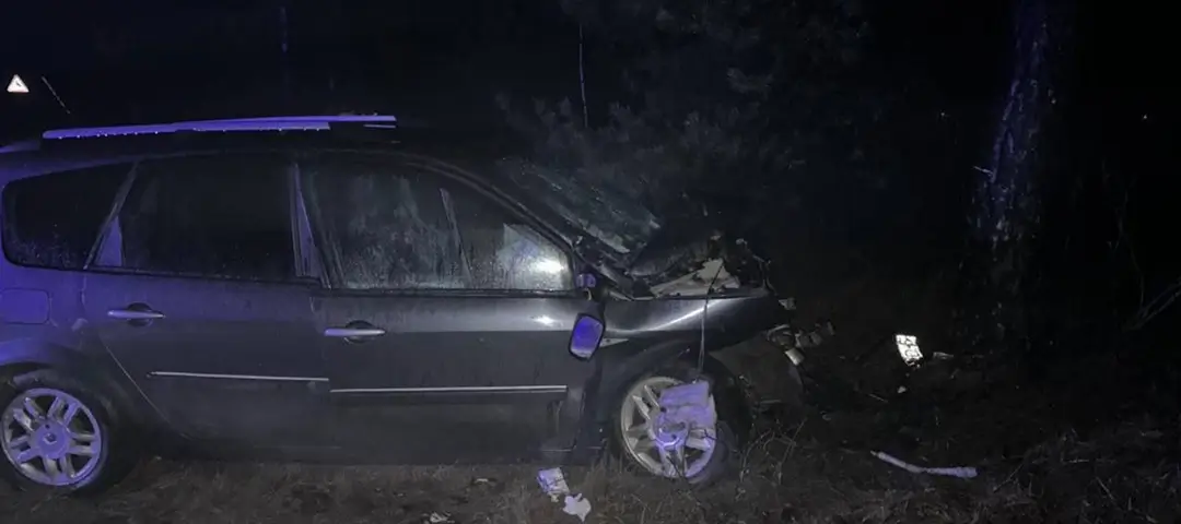 В Слуцком районе после столкновения с деревом погибла пассажирка Renault