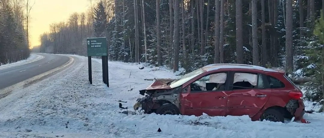 В Пружанском районе автоледи уснула за рулем и съехала в кювет