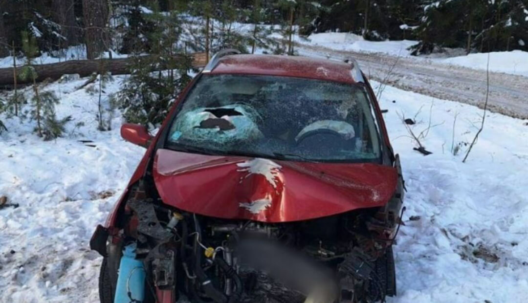 В Пружанском районе автоледи уснула за рулем и съехала в кювет_2