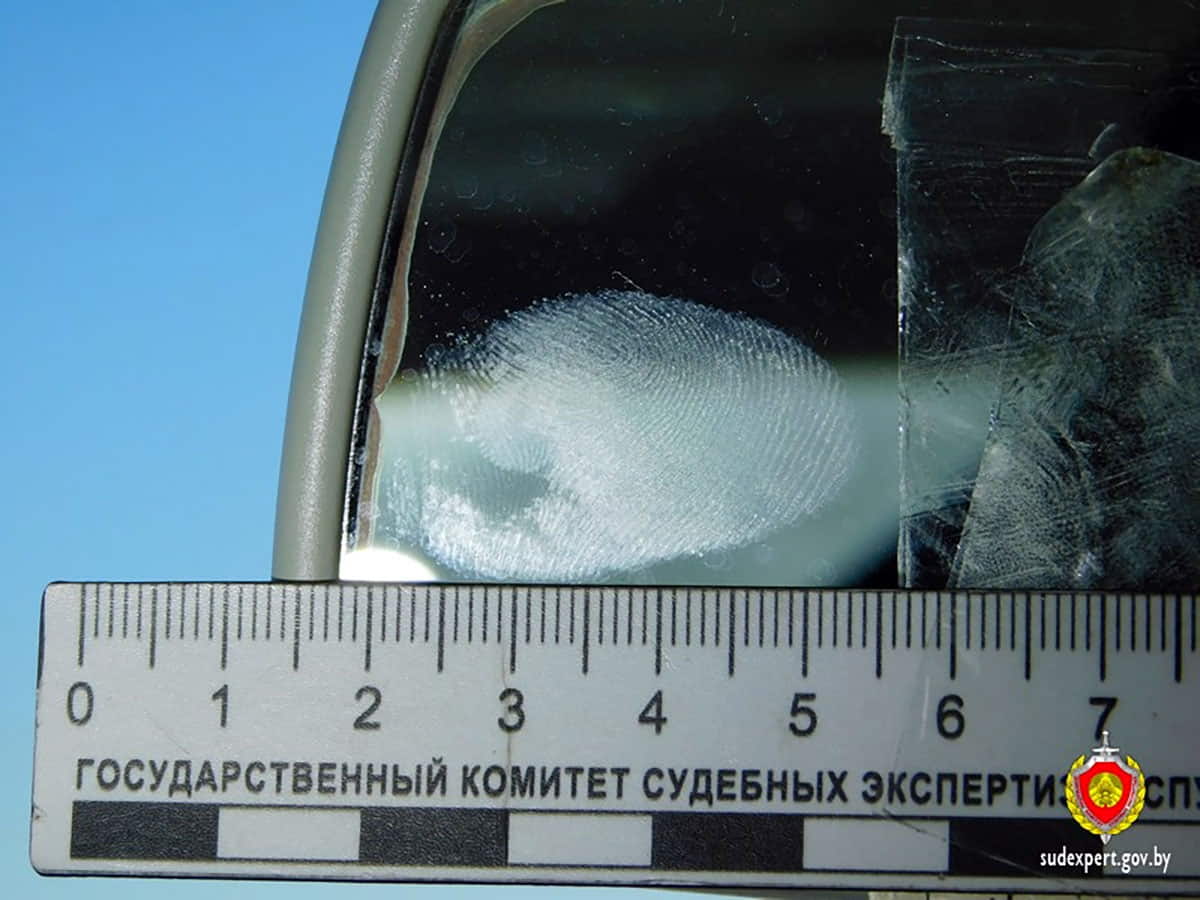 Строитель угнал автомобиль заказчика1