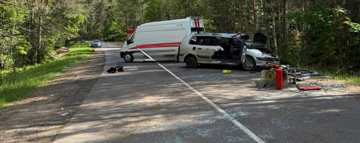 В Бешенковичском районе опрокинулся Renault1
