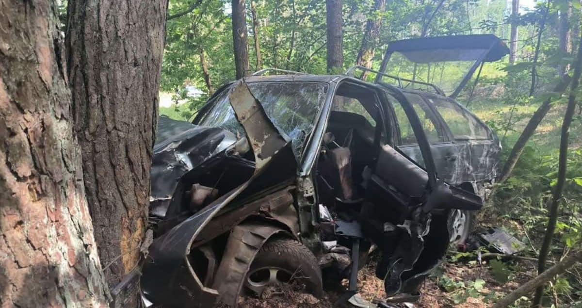 На Брестчине в ДТП погиб водитель-бесправник. Он врезался в дерево
