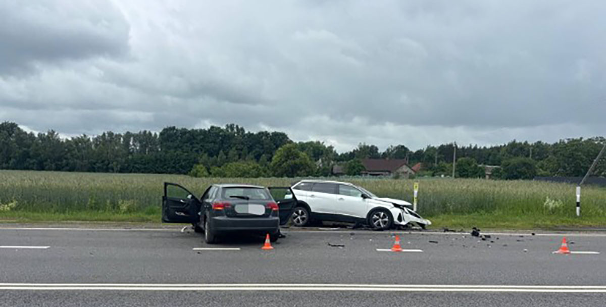 водитель Audi столкнулся со стоящим на обочине автомобилем