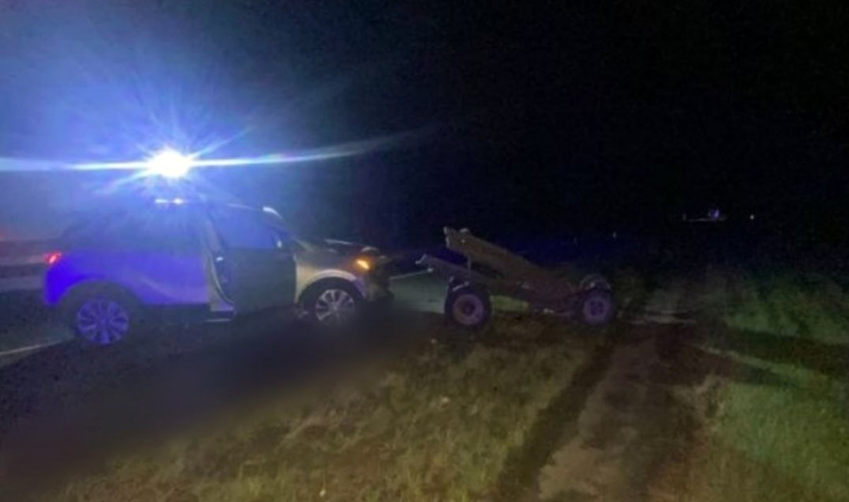водитель Buick столкнулась с гужевой повозкой1