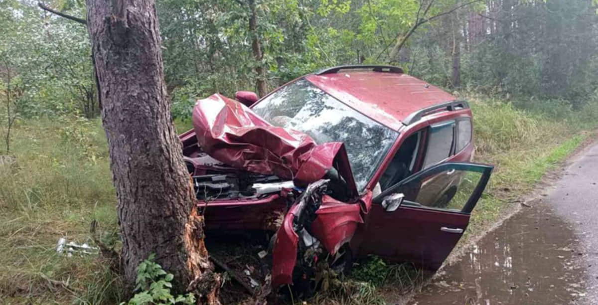 Под Молодечно Subaru вылетел с дороги