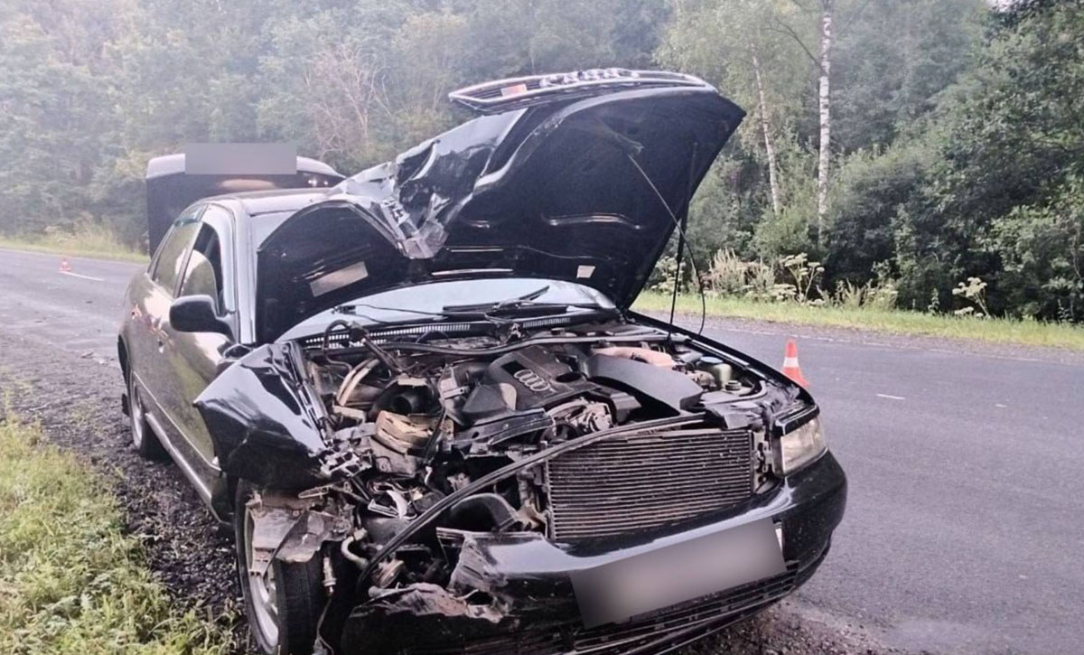 Audi протаранила попутный мотоблок3
