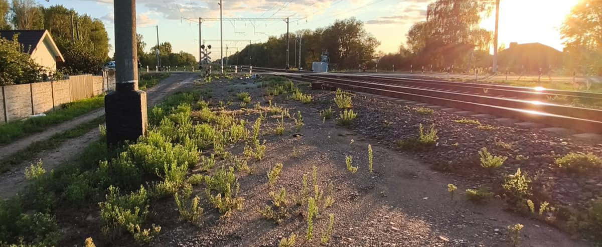 Возле станции Харитоны поезд насмерть сбил 74-летнего мужчину