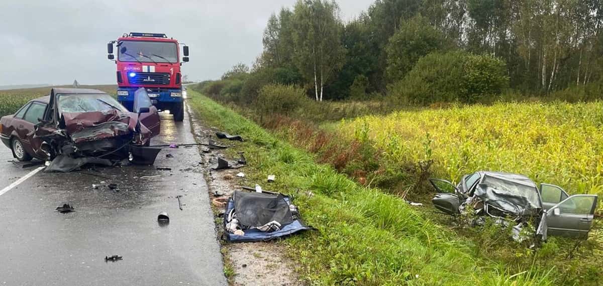 Под Дубровно в ДТП погибла женщина